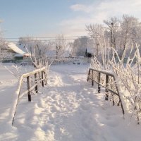 Однажды зимой :: Ольга Елисеева