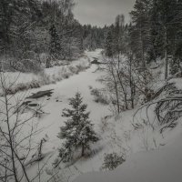 *** :: Алексей Соловьев