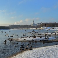 Улёт. :: Александр Сергеевич 