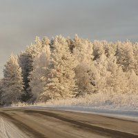 морозный день :: леонид логинов