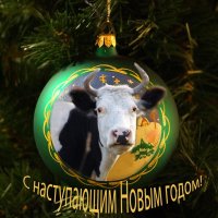 Пожелания к Новому году  сделала мадам корова ) :: Галина Кан