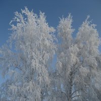 Зима :: Anna Ivanova