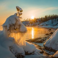 Новогоднее украшение сосны :: Фёдор. Лашков