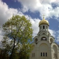 Пришла весна под небесами... :: Владимир Захаров