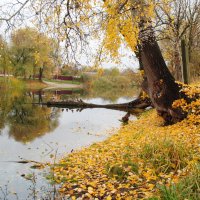 У речки Хорол :: Вячеслав Михеев