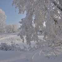 2 января 2021:) :: Владимир Звягин