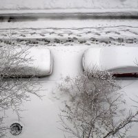 Следы на снегу :: Ольга Довженко