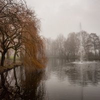 Утренний туман в парке :: Николай Гирш