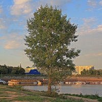 Предзакатное на затоне. :: Николай Масляев