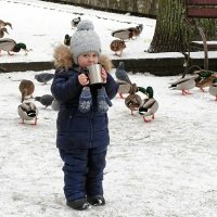 Юный посетитель городского сада. :: Милешкин Владимир Алексеевич 