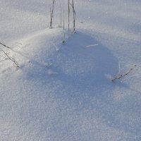 Снежный город.... Муравейник ,как на острове...Белый свадебный снег. :: Георгиевич 