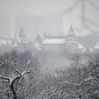 Сквозь снежную пелену. (Дворей царя Алексея Михайловича в Коломенском) :: Oleg4618 Шутченко