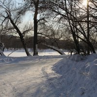 Зимой в городском парке :: Игорь Белоногов