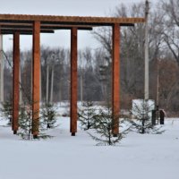 За городом. :: Венера Чуйкова