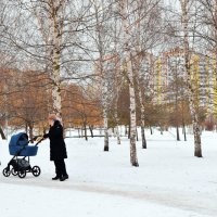 У берёз и сон крепче. :: Татьяна Помогалова