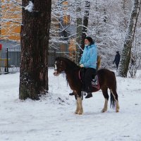 "Лихая" наездница. :: Милешкин Владимир Алексеевич 