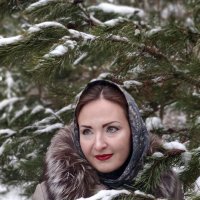 Прогулка по зимнему лесу :: Александр Сансар