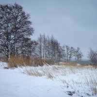 Зима за городом :: Наталья Катюжанская