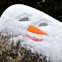Снеговик не лепится? Нашли сугроб с глазами, морковку вместо носа и рот нарисовали! :: Татьяна Помогалова