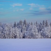 «Под снежным покрывалом января» :: Александр Гладких