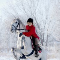 На белом коне :: Татьяна Гузева