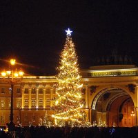 Живая ёлка на Дворцовой площади. :: Лия ☼