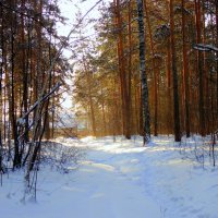 За околицей много снегу намело . :: Мила Бовкун