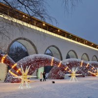 Москва. Парк "Ростокинский акведук". :: Надежда Лаптева