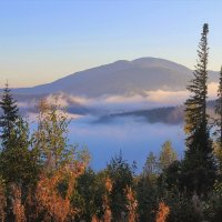 Утренний туман в долине :: Сергей Чиняев 