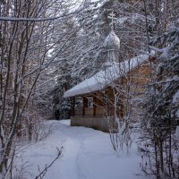 Туровец. Часовня. :: Андрей Дурапов