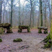 дольмены Медонского леса (foret de Meudon) :: Георгий А