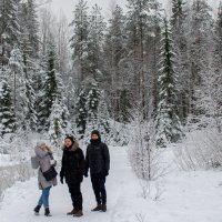 прогулка в лесу :: Елена Кордумова