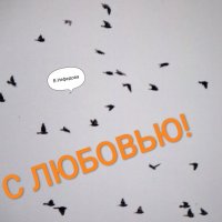Птицы в небе! :: Валентина  Нефёдова 