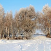 зима :: Владимир Холодницкий