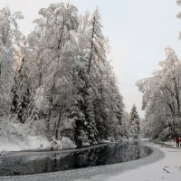 «Линдуловская роща» :: skijumper Иванов