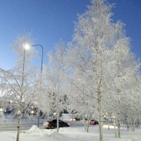 Вечер :: Наталья Пендюк Пендюк