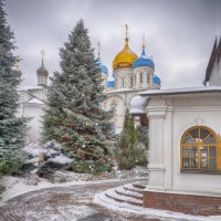 Новоспасский ставропигиальный мужской монастырь. рождество 2021 :: Александр Шурпаков