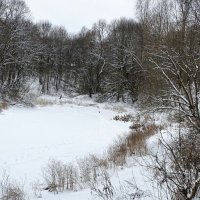 Смоленщина в январе. :: Милешкин Владимир Алексеевич 