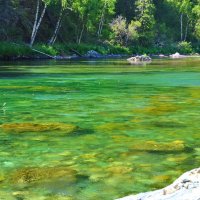 Изумрудная вода реки Кумир :: Галина 