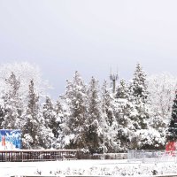 Снег :: Наталия Сарана
