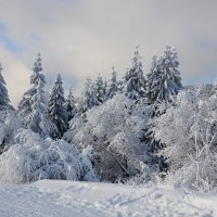 Со Старым Новым Годом ! :: tamara *****