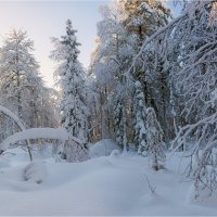 Не тронутый снег :: Shapiro Svetlana 