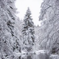 Зима :: Владимир Засимов