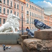 Львы и голуби :: Юлия Батурина