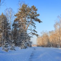 2 января нового года :: Виктор Ковчин