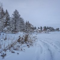 Домики на берегу Волги. :: Михаил "Skipper"