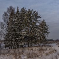 Зима :: Сергей Цветков