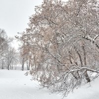 *** :: Viktor Nogovitsin