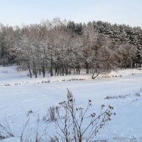 Морозным солнечным деньком :: Елена Павлова (Смолова)