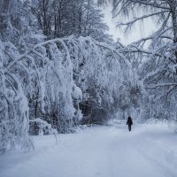 Просто зима :: Людмила Гулина